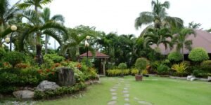 outdoor oasis backyard